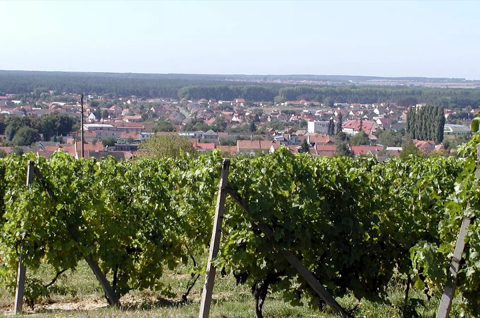 Penzion a Vinařství Roseta