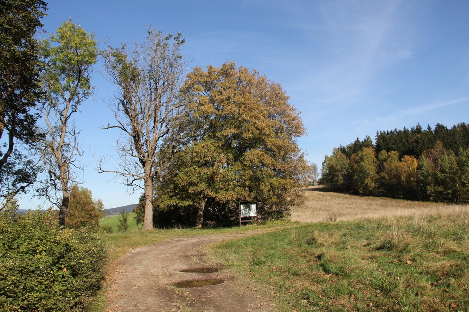 Rekreační chata Kynast wedding venue - photo 5