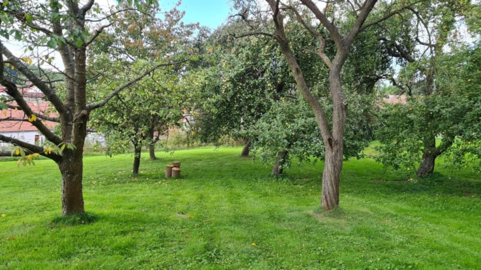 Statek Materna wedding venue - photo 2