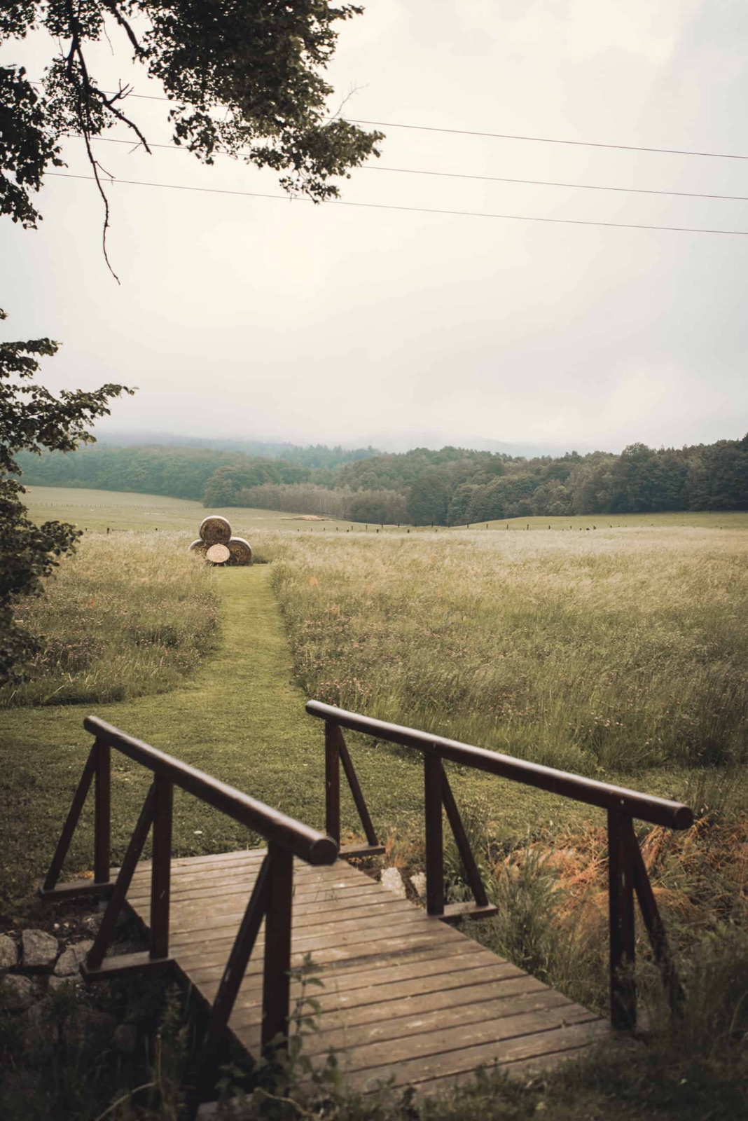 Pivnice Jítravský Dvorec foto 4
