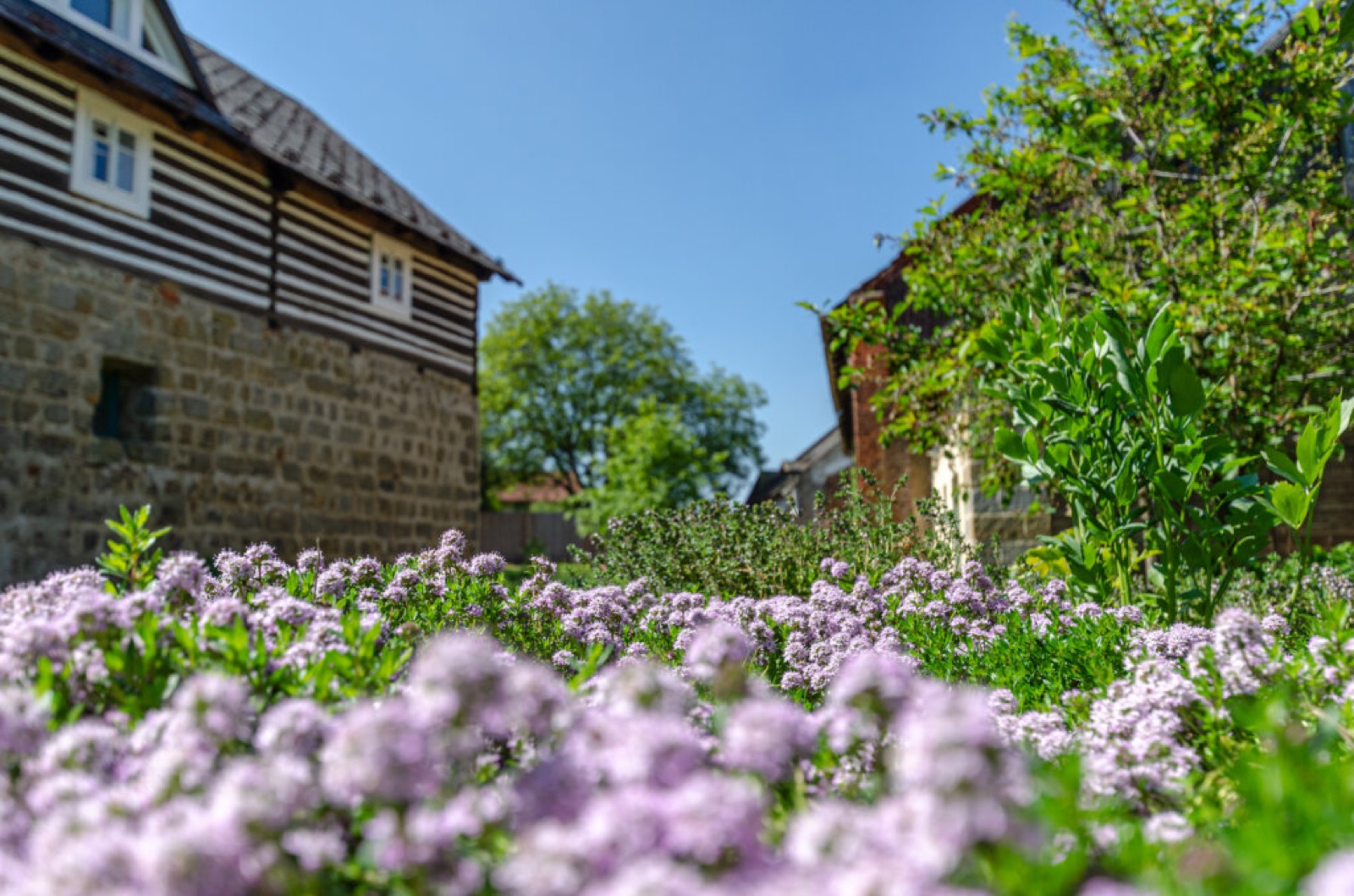 HOMUTŮV STATEK foto 2