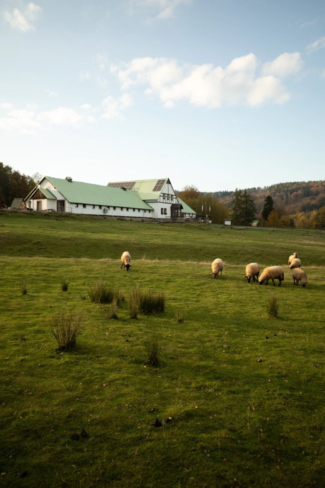 Resort Hvozd