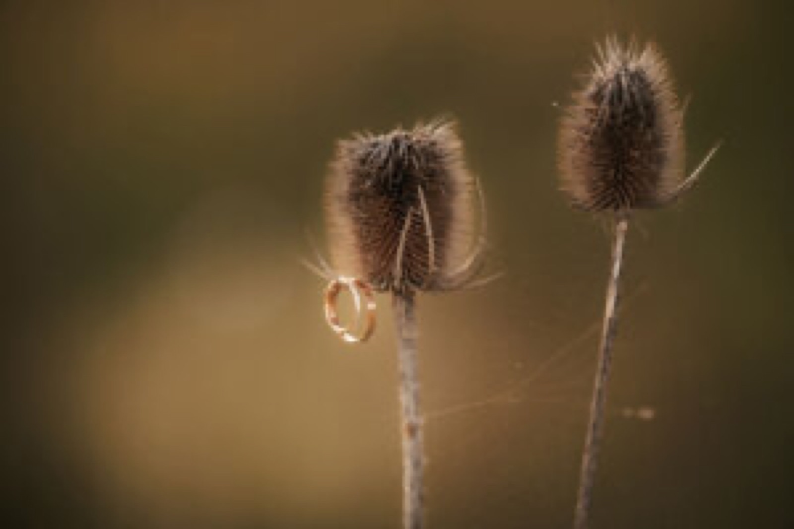 Vinařský dvůr na faře wedding venue - photo 10