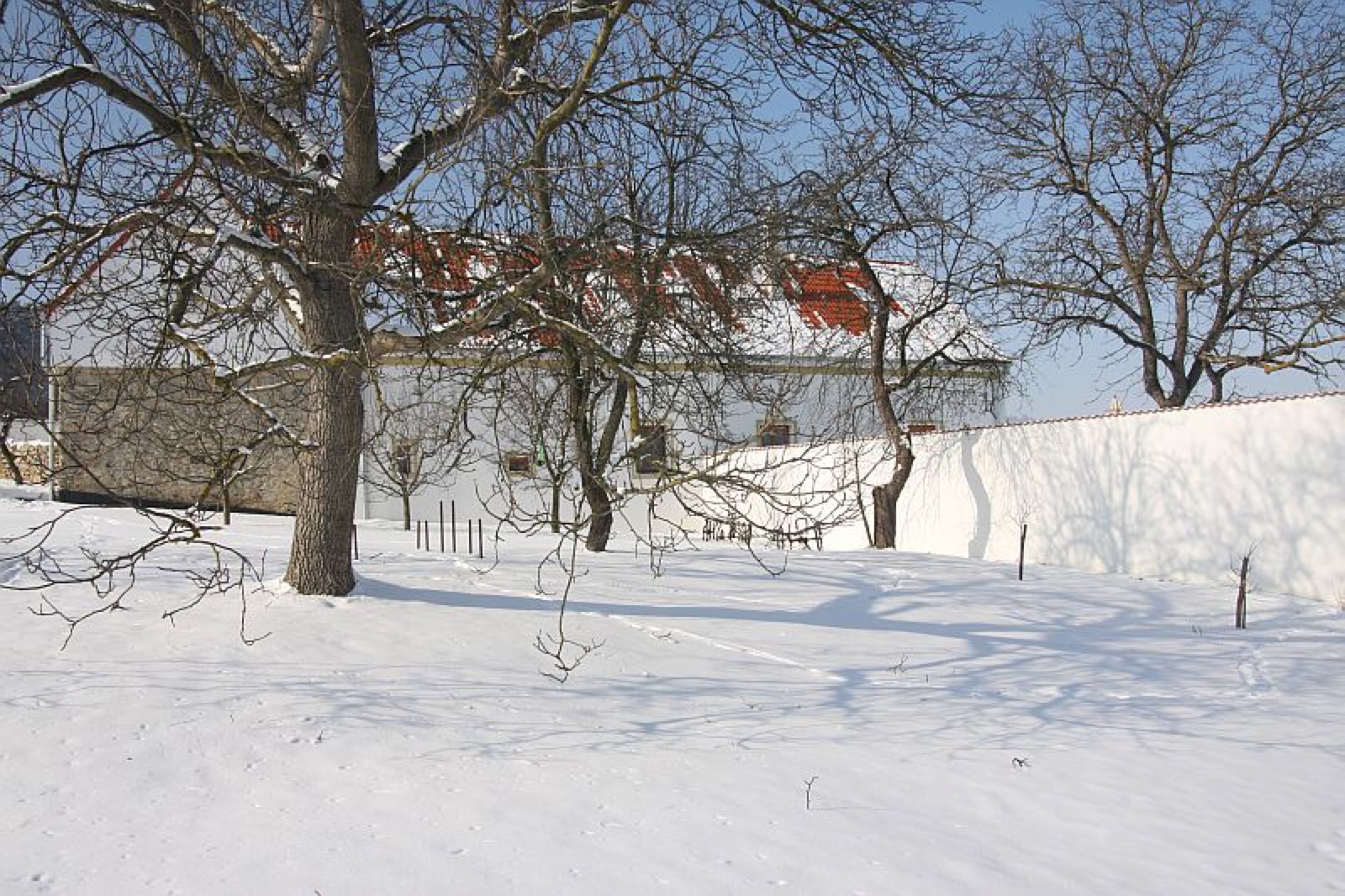 Penzion Blanský les foto 7